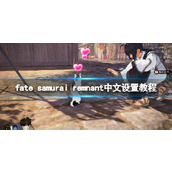 《Fate SamuraiRemnant》怎么设置中文？中文设置教程