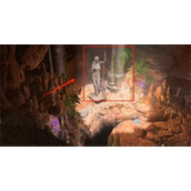 《博德之门3》镀金箱子里面有什么