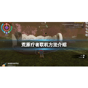 《荒原疗者》Wildmender怎么联机？联机方法介绍