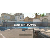 《cs2》饰品交易分析