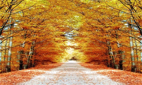 日产乱码区别免费的使用方法：全民观影不再是梦！