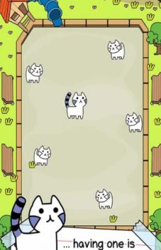 会进化的猫1.0.7