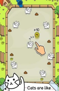 会进化的猫游戏