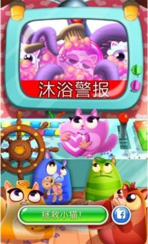 饼干猫泡泡龙最新版