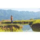 а√天堂中文最新版在线种子福利视频一览无遗，网友：免费啦？