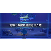 动物森友会鲨鱼怎么钓(鲨鱼捕获方法介绍)