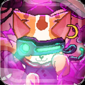网络猫