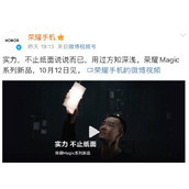 荣耀magicvs2重量多少克