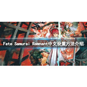 《Fate Samurai Remnant》游戏怎么设置中文？中文设置方法介绍