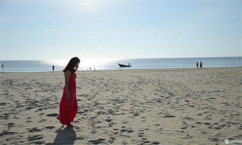 日本正能量不良大豆行情网51汉化了？用户：太好了！