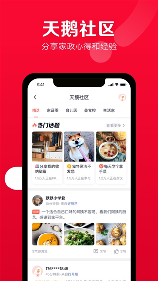 天鹅到家