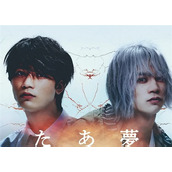 日剧《为了梦中见到的那孩子》剧情介绍