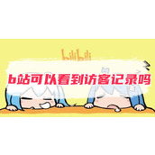 b站可以看到访客记录吗