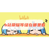 b站荣耀等级在哪里看