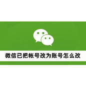 微信已把帐号改为账号怎么改