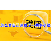 美团怎么看自己消费了一共多少钱
