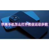 苹果手机怎么打开微信运动步数