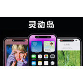 苹果14pro灵动岛怎么设置
