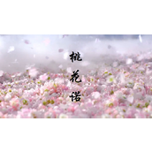 抖音花斑斑留在爱你的路是什么歌
