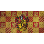 邓布利多属于哪个霍格沃兹学院(哈利波特手游魔法史课程问题答案大全)