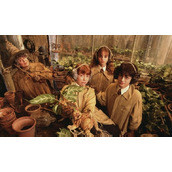 1991年谁在霍格沃茨教草药学(哈利波特手游魔法史课程问题答案大全)