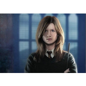 金妮是什么的简称(哈利波特手游魔法史课程问题答案大全)