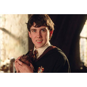 谁摧毁了伏地魔最后的魂器(哈利波特手游魔法史课程问题答案大全)