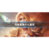 《魔兽世界》乌龟服含义介绍