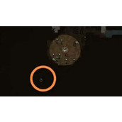 《饥荒新家园》韦伯任务怎么做