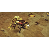 《饥荒新家园》伯尼在哪