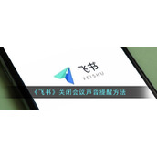 《飞书》关闭会议声音提醒方法