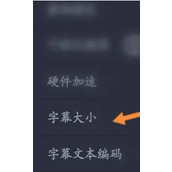 万能播放器字幕大小在哪调节