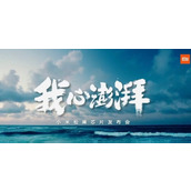 小米澎湃os支持什么耳机