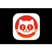 猫眼能不能使用支付宝付款