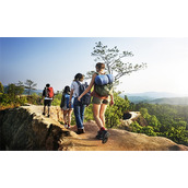 А√最新版天堂资源在线新增免费专区，网友：快来白嫖！