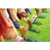 《花儿与少年》第五季录制地点介绍