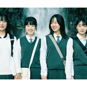 《梦之歌》讲的是什么故事