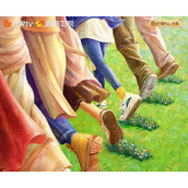 《花儿与少年》第五季嘉宾名单一览