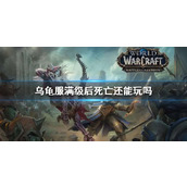 《wow》乌龟服满级后死亡游玩介绍