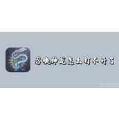 召唤神龙怎么打不开(召唤神龙打不开解决方法)