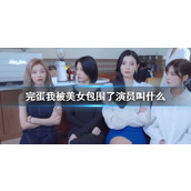 《完蛋我被美女包围了》演员介绍