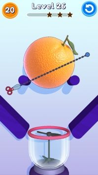 标准切片最新版