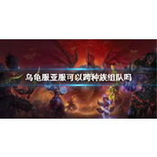 《wow》乌龟服亚服跨种族组队介绍