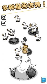 奇怪鸭子世界