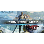 《上古卷轴ol》死灵法师种族推荐