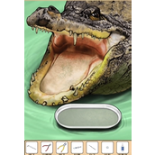 《全民剧本大师》鳄鱼拔牙怎么过