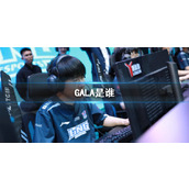 《lol》职业选手GALA介绍