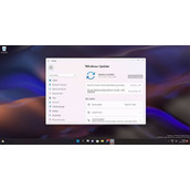 微软推送今年最后一次更新 win11 22523预览版开始推送