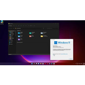 升级win11系统 需要使用win10 20h1或者更高的版本
