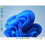 win1121h2是什么版本